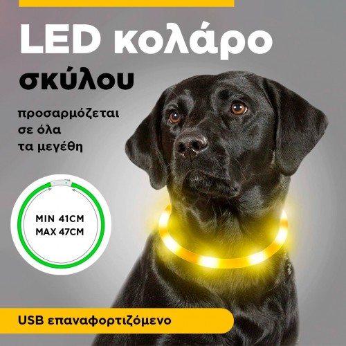 κολάρο για κατοικίδια με φως LED